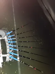 진위천 평택호 남양만 조황 소식