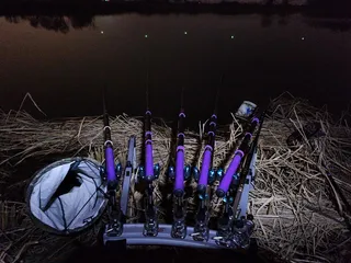 진위천 평택호 남양만 조황 소식 