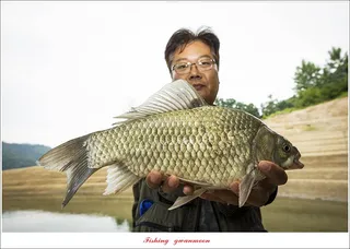 솔 4 짜..목벌 호조황..