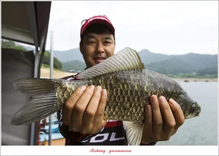 솔 42.5 cm..38 cm.. 목벌 4 짜 조황..