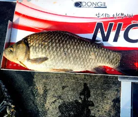 3월 중순-봄을 맞는 저수지 모습 입니다.