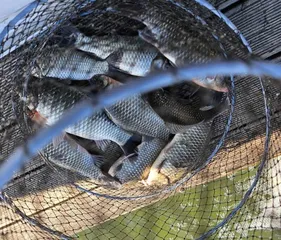 사암[용담낚시터]지ㅡ겨울 물낚시 핫플레이스