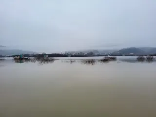 4짜로 시작하는 고삼지