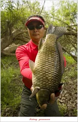 남한강 4 짜 대박조황..