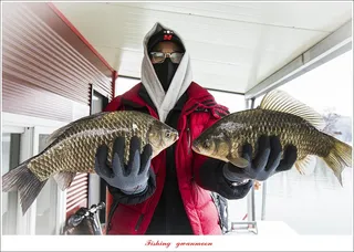 솔 40 cm..38 cm..35 cm..34 cm..