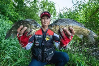 남한강 4 짜 대물 마릿수 조황..