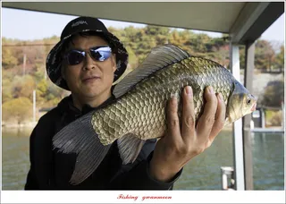 솔 4 짜 및 월척 조황..