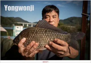 충주호..용원지..화곡지 조황..