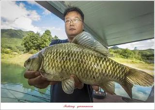 충주호 가을 오름수위..