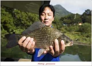 솔 4 짜 조황 및 가을 오름수위..