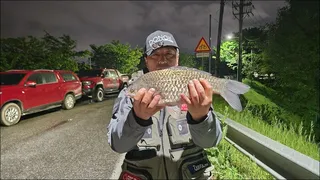 달천강 4 짜 풍년..동일레져 시조회..