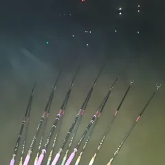 진위천 남양호 조황 소식