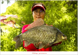 목벌 4 짜  및 남한강 4 짜 조황..