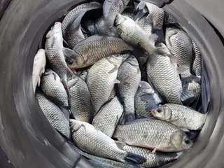 두창지==착한 낚시터입니다