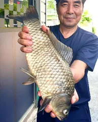 한여름의 조황안내