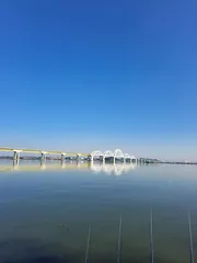 진위천 평택호 조황 