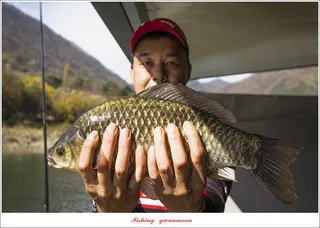 솔 4 짜 대물 조황..