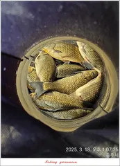 두무소..화곡지 조황..