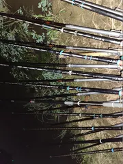 평택호 진위천 조황 소식