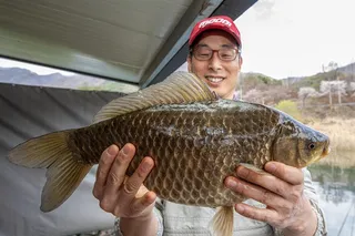 솔 45 cm..37 cm..36 cm..화곡지 4 짜 조황..