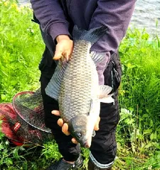 6월-여름낚시의 시작 입니다.