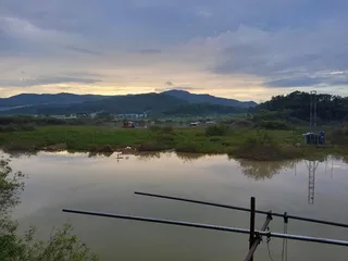 고삼지-안타까운 소식