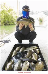 용원지..화곡지 호조황..