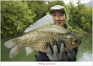 솔 44 cm 대물 조황..