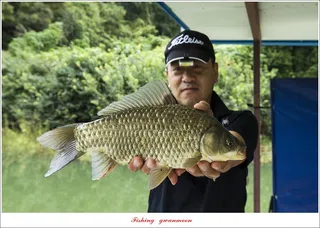 사오리..솔 낚시터 조황..