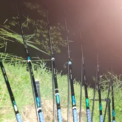 진위천 남양호 평택호 조황 소식