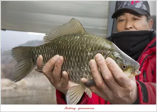솔 4 짜 조황 및 빙어 낚시..
