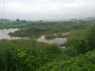 청미천===무조건 잡습니다