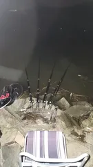 평택호 진위천 남양호 조황 소식