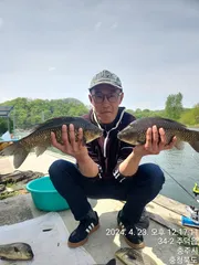 화곡지 4 짜 조황 소식..