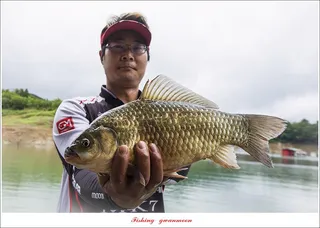 돌감 4 짜..4 짜..4 짜..한버들 4 짜 조황..