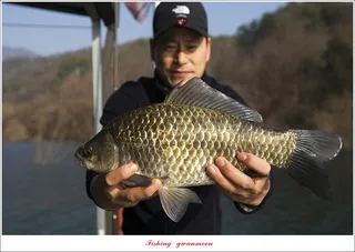 솔 43 cm  대물 조황..