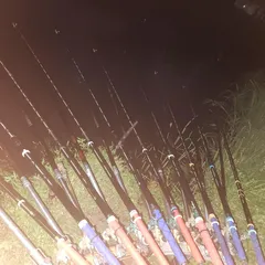 진위천 조황 소식