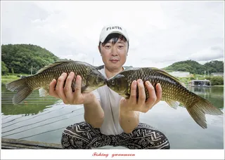 화곡지 호조황..