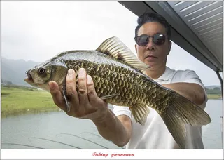 솔 4 짜 호조황..제일 4 짜..사오리 4 짜 조황..