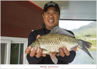 솔 4 짜..38.5 cm..37 cm 월척 조황..