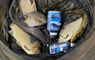 무료터 청미천의 모습