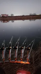 진위천 조황 소식