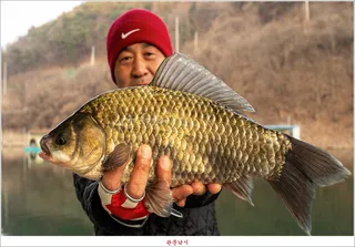 사오리 4 짜..한버들 4 짜 및 왕중왕전 대회..