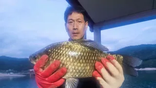 솔 4 짜..달천강 4 짜 조황..