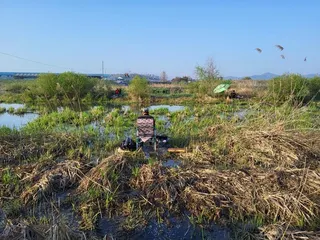 무료터 청미천==산란과 동시에 대물 움직임