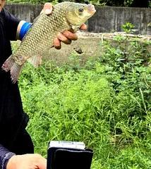 낚시하기 가장 좋은 계절