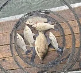 [사암지]오랜만에 인사드립니디ㅏ