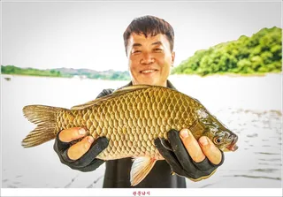 제일 낚시터 대박 조황..명서 낚시터 호조황..