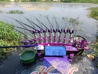 진위천 평택호 조황 