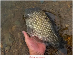 가을비를 기다리는 충주호..